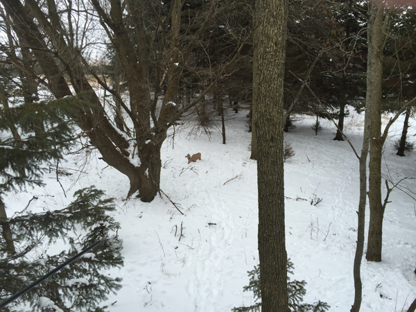 On Wisconsin Outdoors