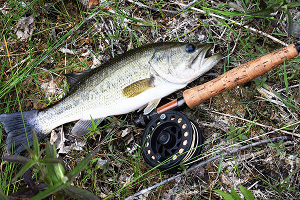 On Wisconsin Outdoors