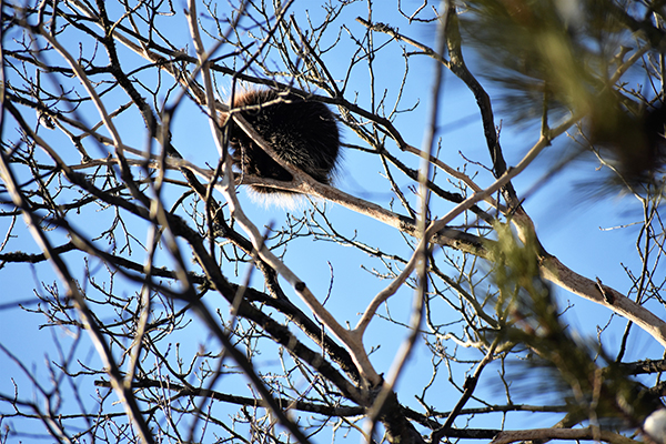 On Wisconsin Outdoors