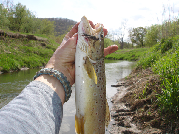 On Wisconsin Outdoors