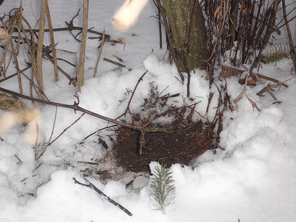 On Wisconsin Outdoors