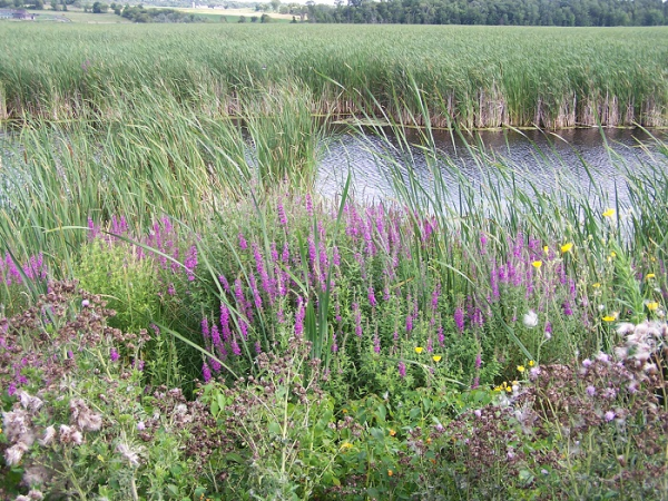 On Wisconsin Outdoors