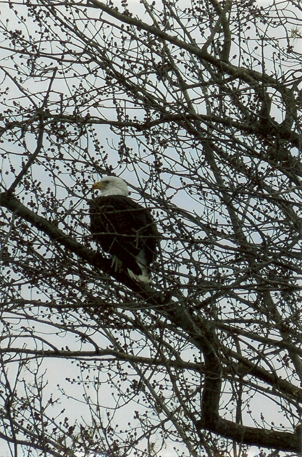 On Wisconsin Outdoors