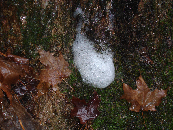 On Wisconsin Outdoors