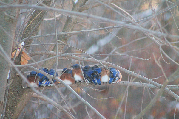 On Wisconsin Outdoors