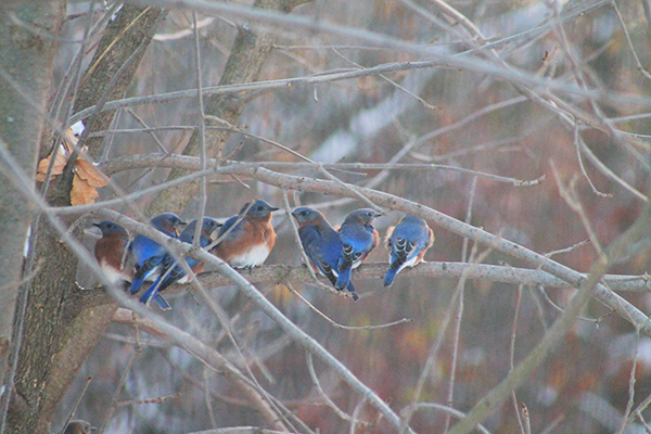 On Wisconsin Outdoors