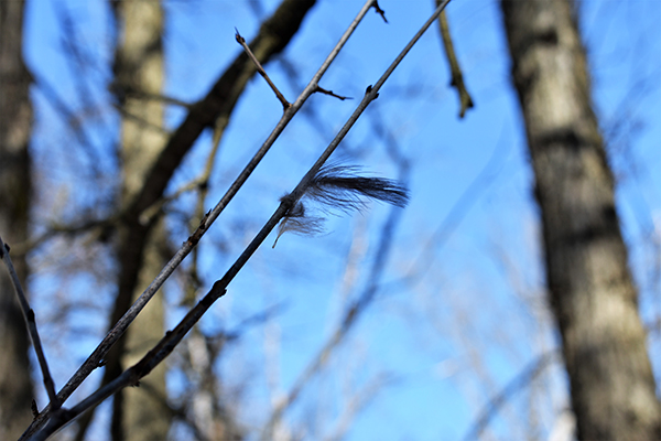 On Wisconsin Outdoors