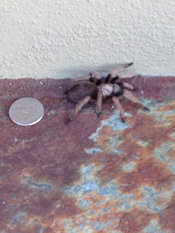 On Wisconsin Outdoors