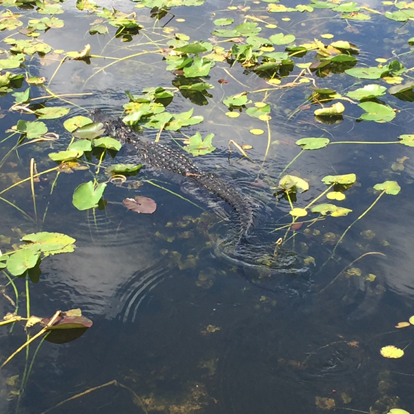 On Wisconsin Outdoors