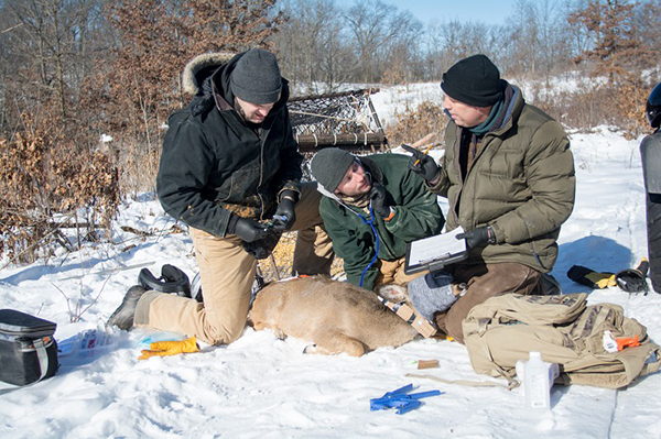 On Wisconsin Outdoors