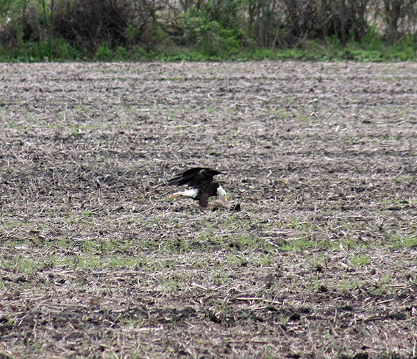 On Wisconsin Outdoors