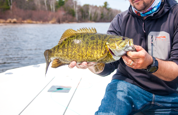 On Wisconsin Outdoors with Dick Ellis