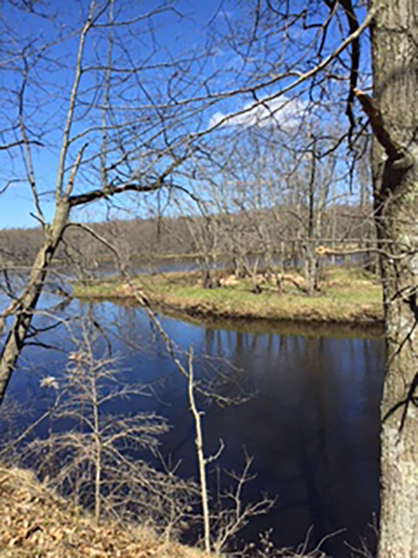 On Wisconsin Outdoors