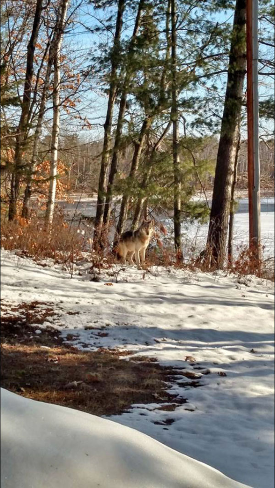 On Wisconsin Outdoors