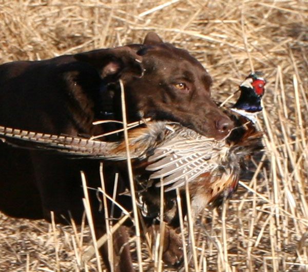 On Wisconsin Outdoors