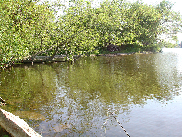 On Wisconsin Outdoors