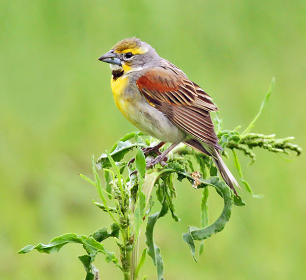 On Wisconsin Outdoors