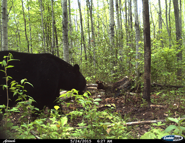 On Wisconsin Outdoors with Dick Ellis