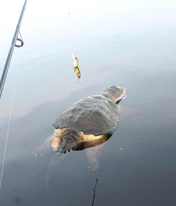 On Wisconsin Outdoors