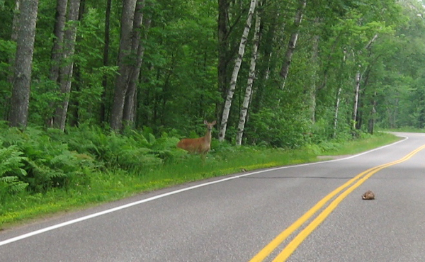 On Wisconsin Outdoors with Dick Ellis