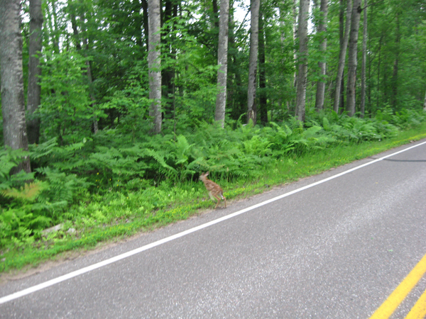 On Wisconsin Outdoors with Dick Ellis