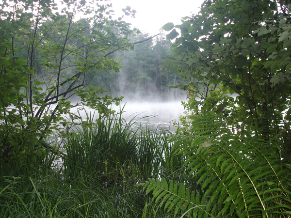 On Wisconsin Outdoors