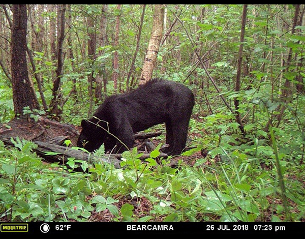 On Wisconsin Outdoors