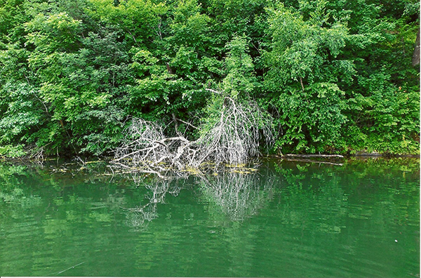 On Wisconsin Outdoors