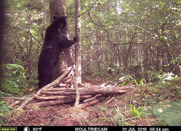 On Wisconsin Outdoors