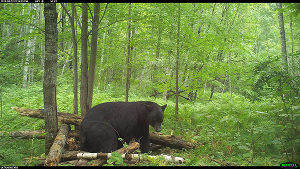 On Wisconsin Outdoors