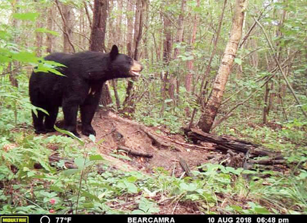 On Wisconsin Outdoors