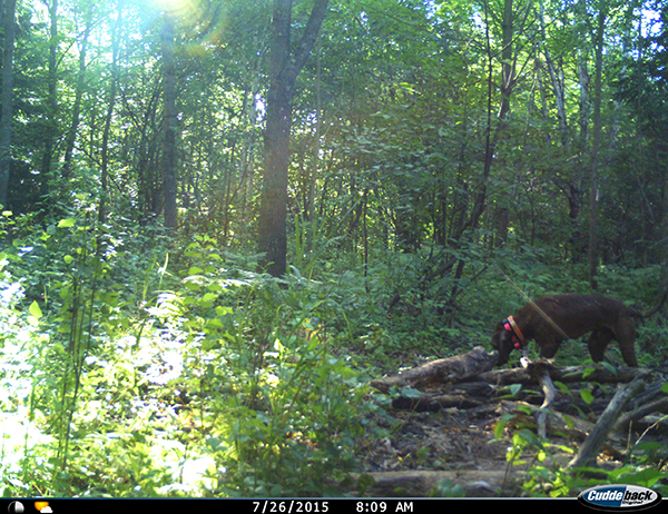 On Wisconsin Outdoors