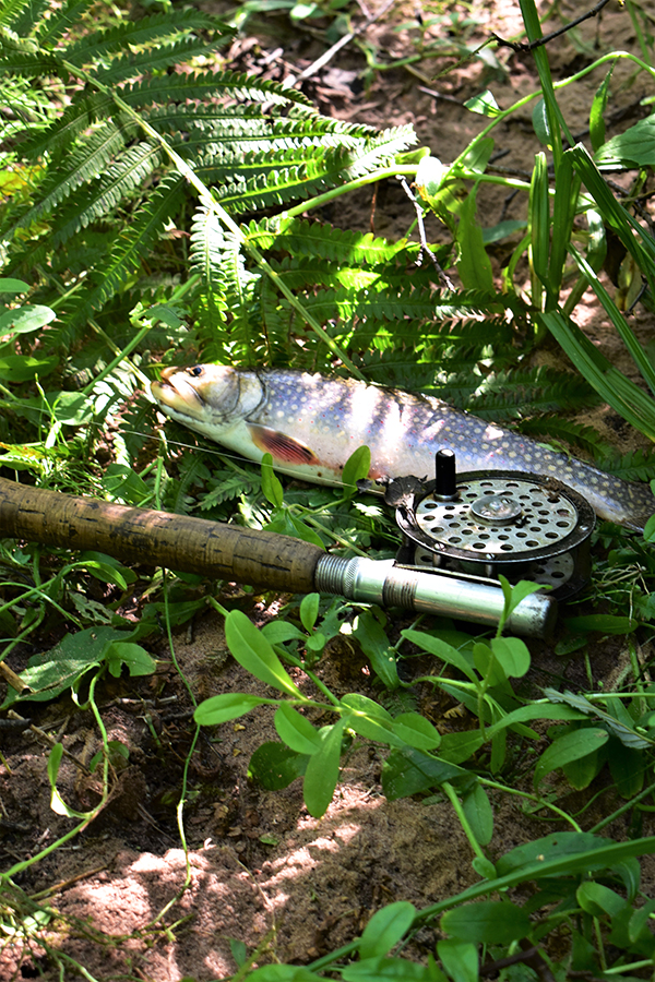 On Wisconsin Outdoors