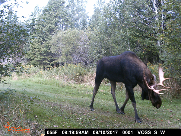 On Wisconsin Outdoors