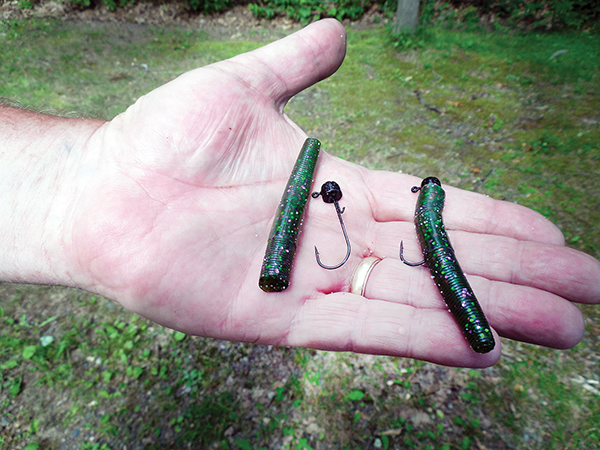 On Wisconsin Outdoors with Dick Ellis