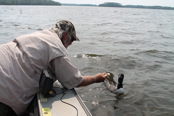 On Wisconsin Outdoors with Dick Ellis