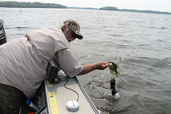 On Wisconsin Outdoors with Dick Ellis