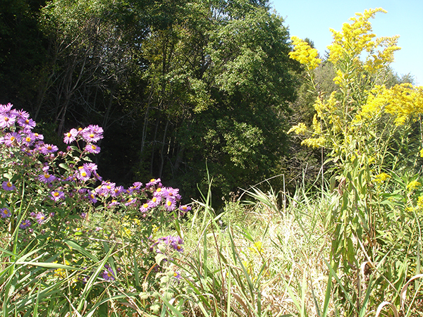 On Wisconsin Outdoors