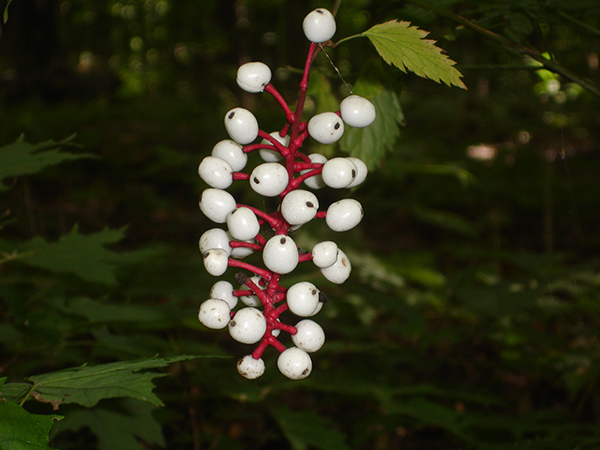 On Wisconsin Outdoors