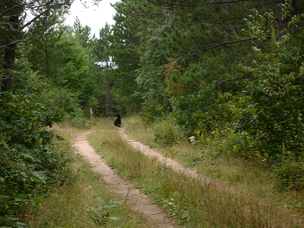 On Wisconsin Outdoors