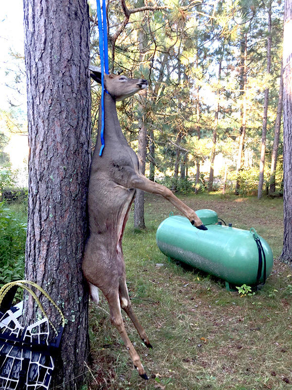 On Wisconsin Outdoors