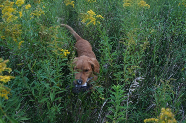 On Wisconsin Outdoors