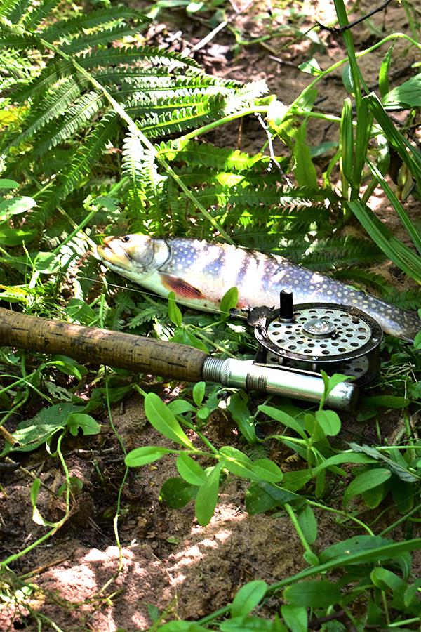 On Wisconsin Outdoors