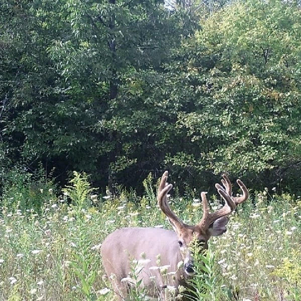 On Wisconsin Outdoors