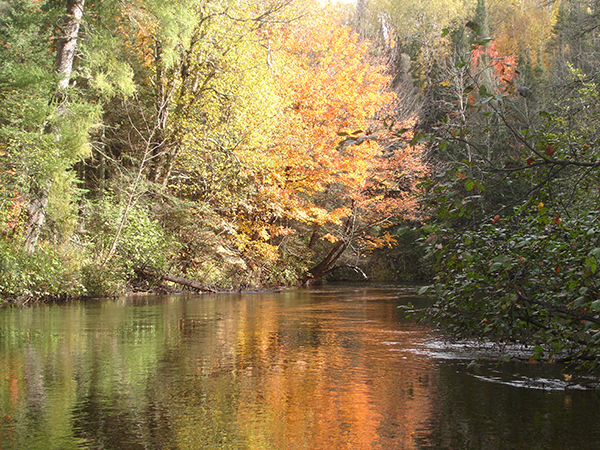 On Wisconsin Outdoors