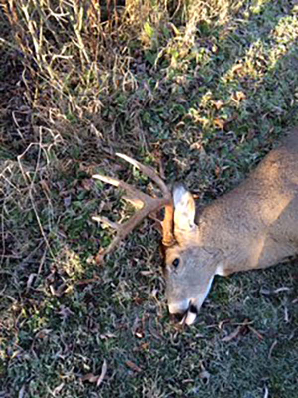 On Wisconsin Outdoors On Wisconsin Outdoors