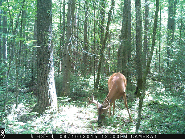 On Wisconsin Outdoors