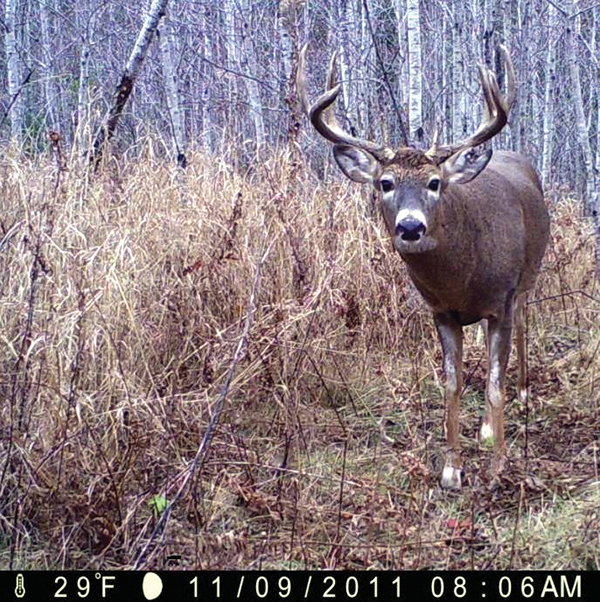 On Wisconsin Outdoors