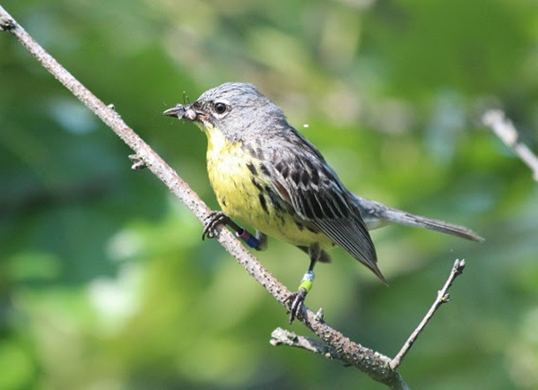 On Wisconsin Outdoors