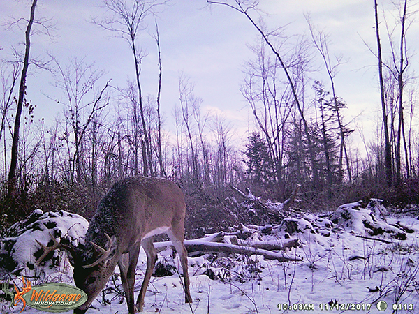 On Wisconsin Outdoors